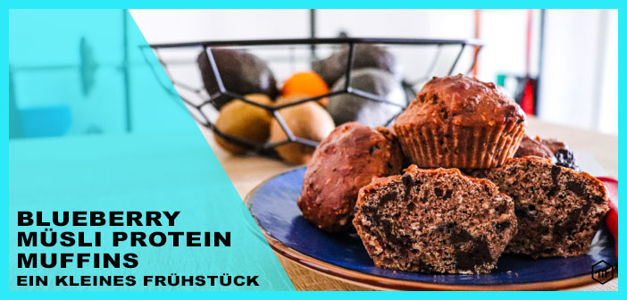 Blueberry Müsli Protein Muffins