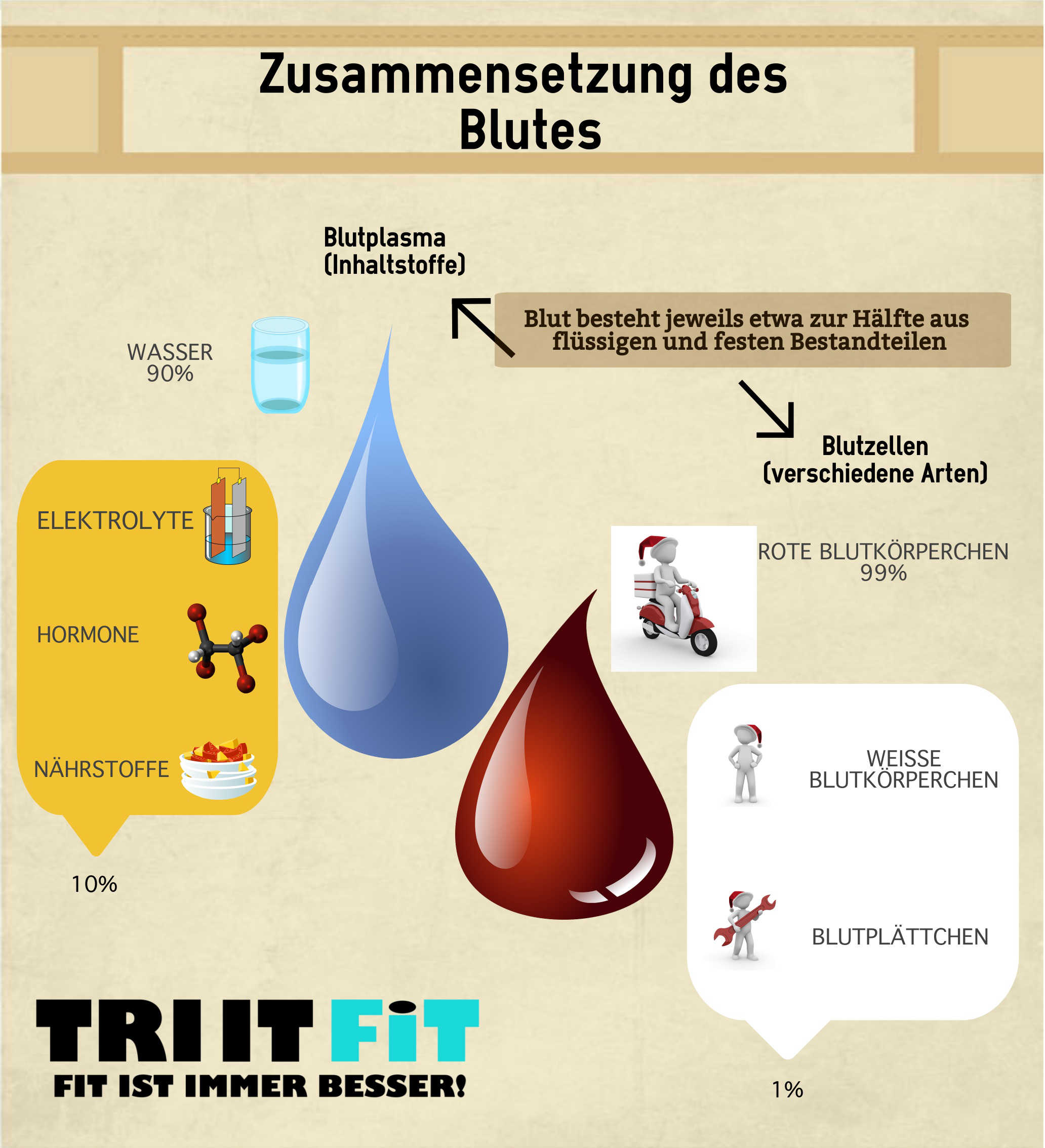 Blutspende Infografik